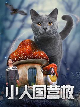 妻子的归乡2-2020